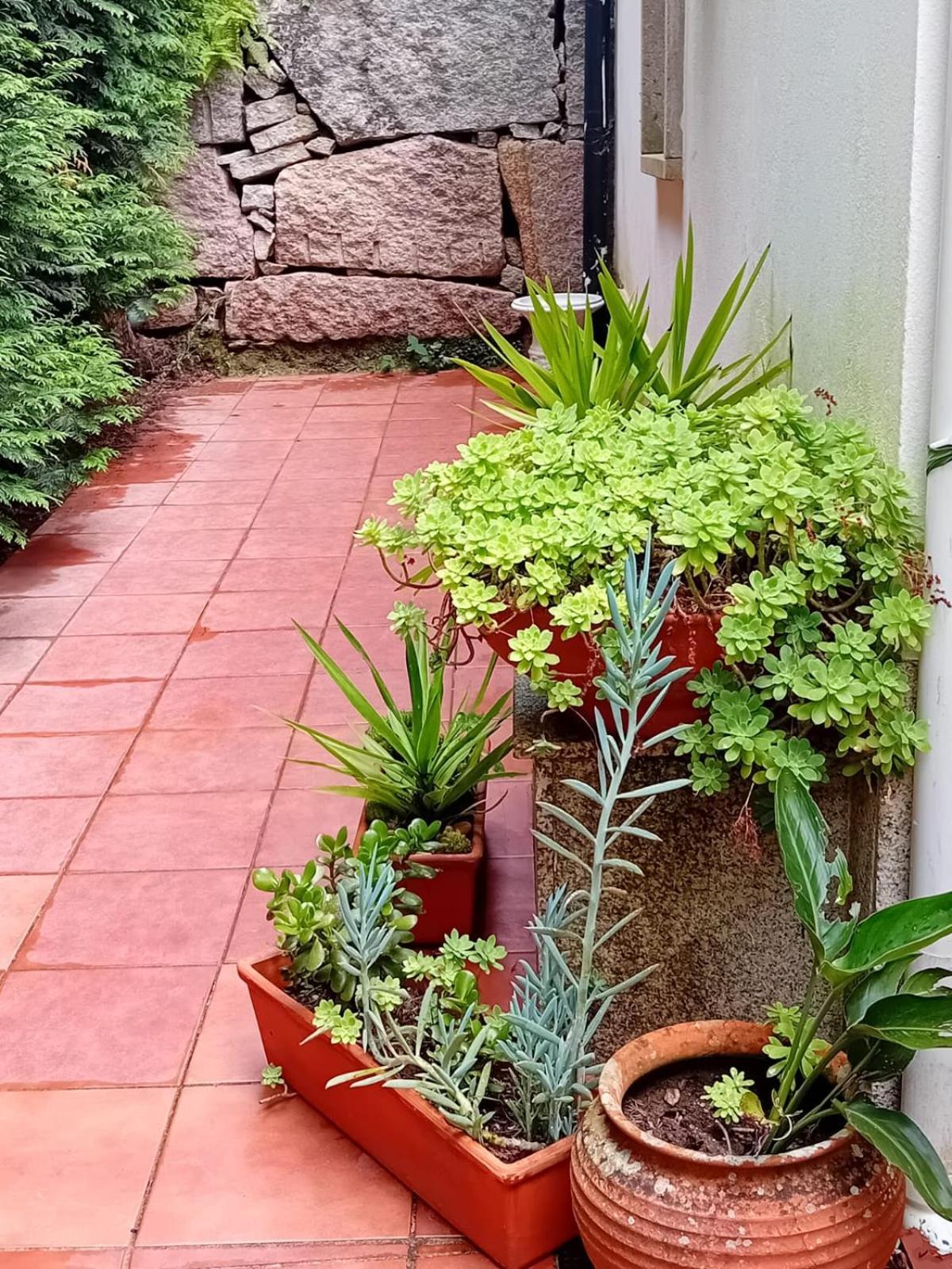 Vivienda Con Jardin Terraza Y Barbacoa Picona Exterior foto